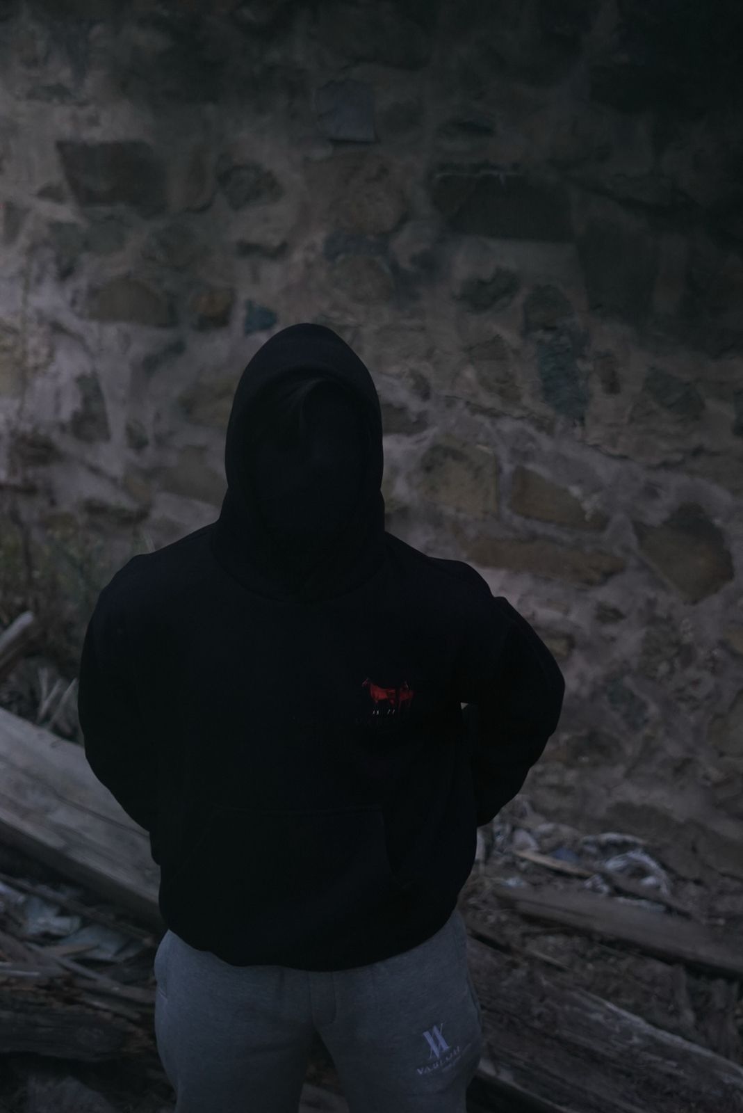 OVERSIZED COTTON FLEECE PRINTED HOODIE