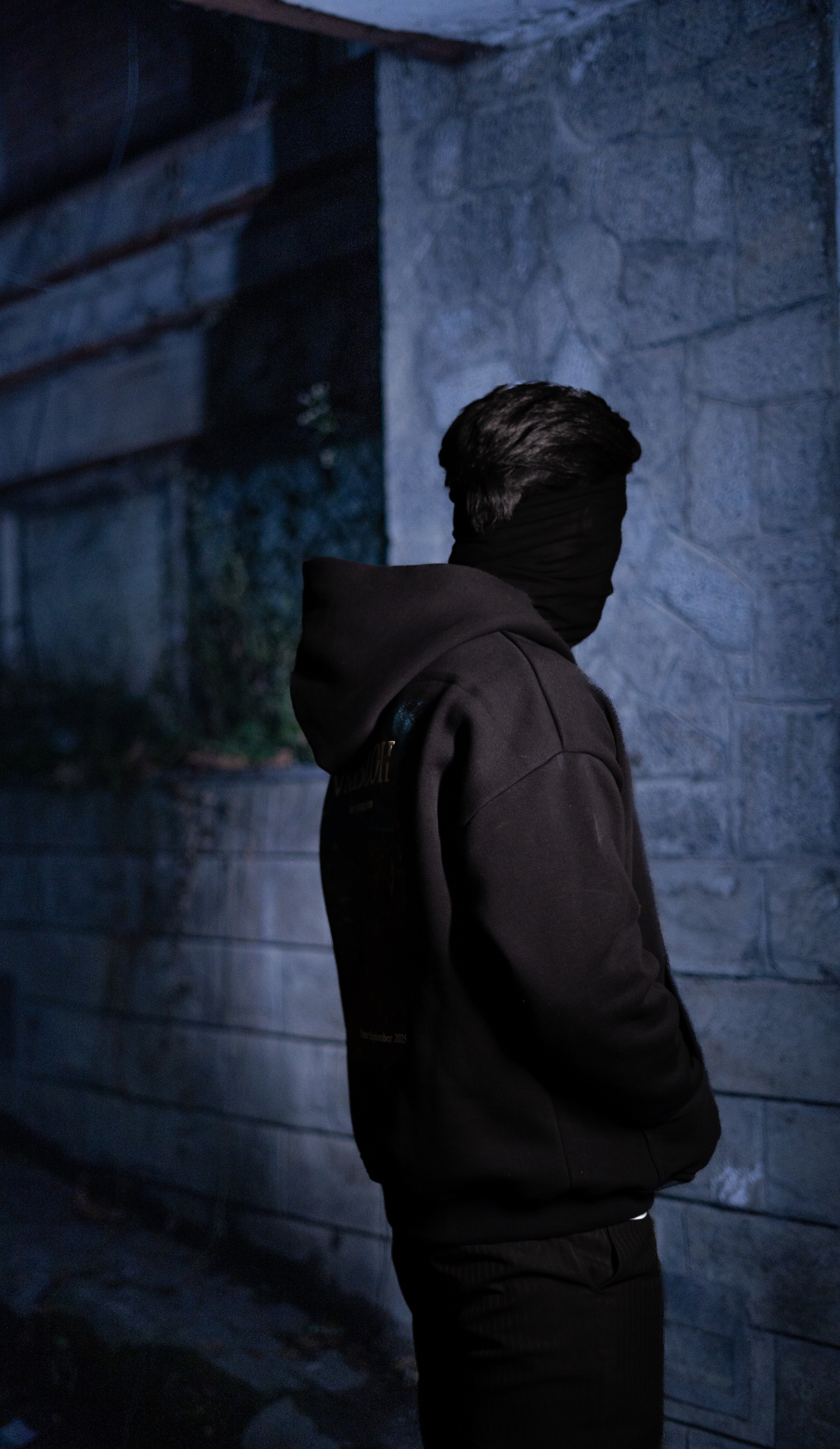 OVERSIZED COTTON FLEECE PRINTED HOODIE